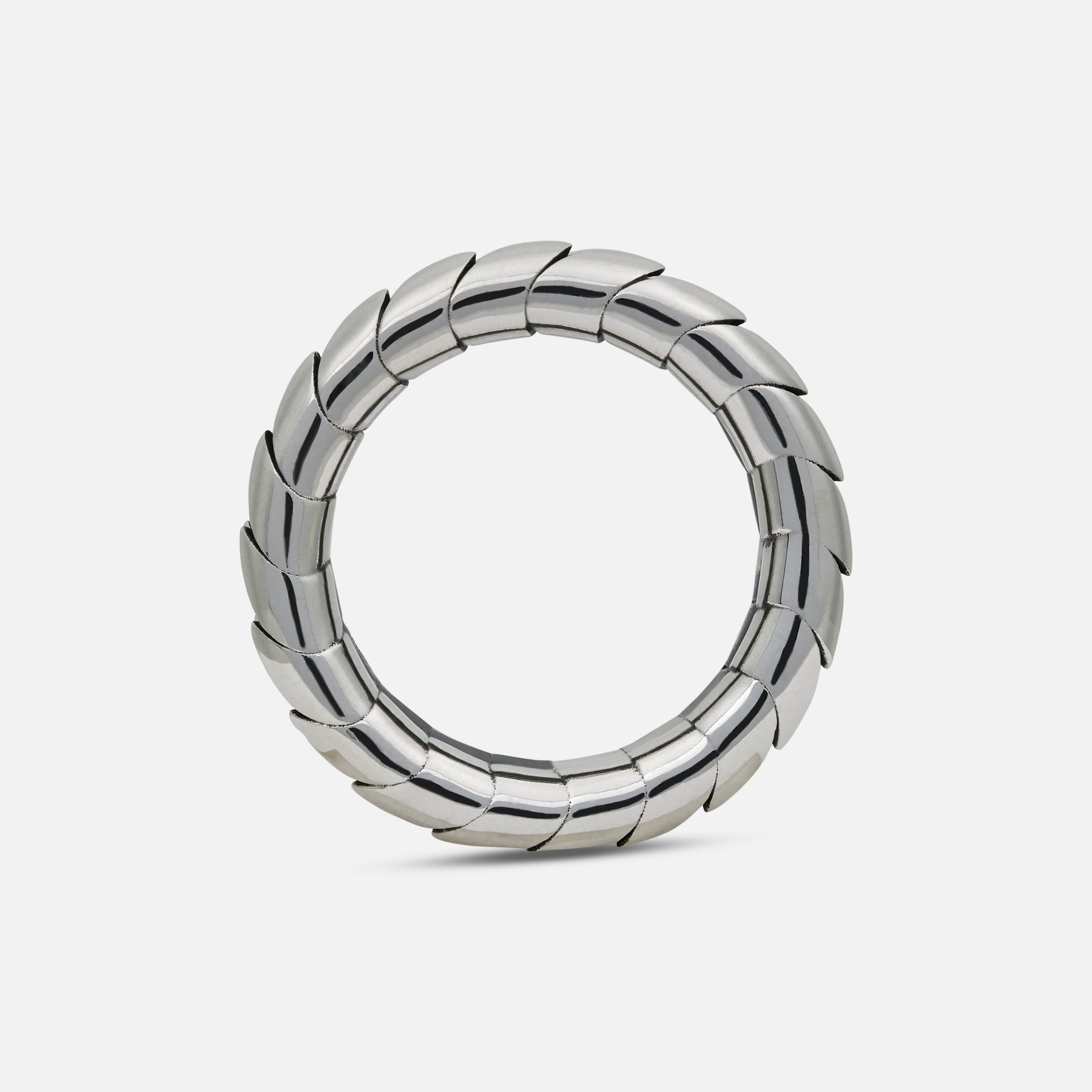Polished silver Iron Snake ring with sculpted scale texture