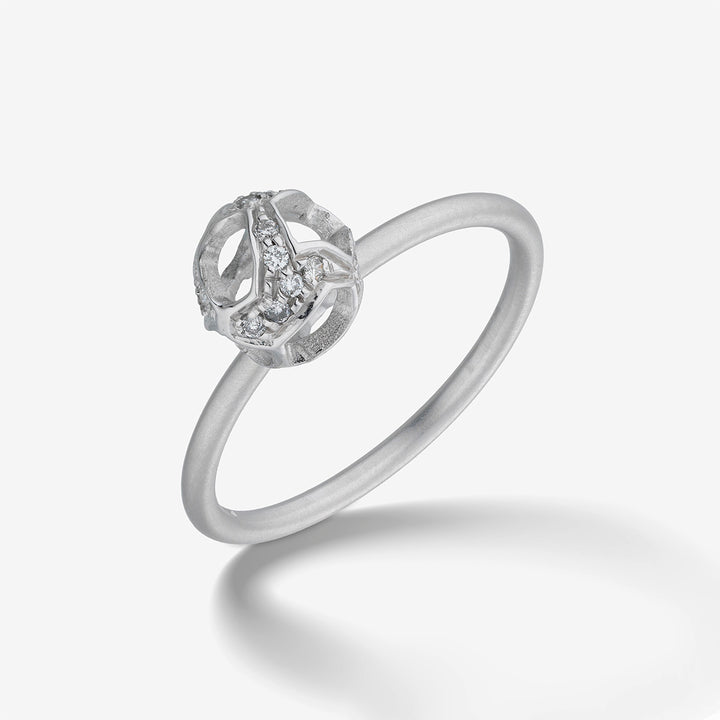 Explosion Of Joy Petite Ring White Diamonds 18Kt White Gold-Standard View