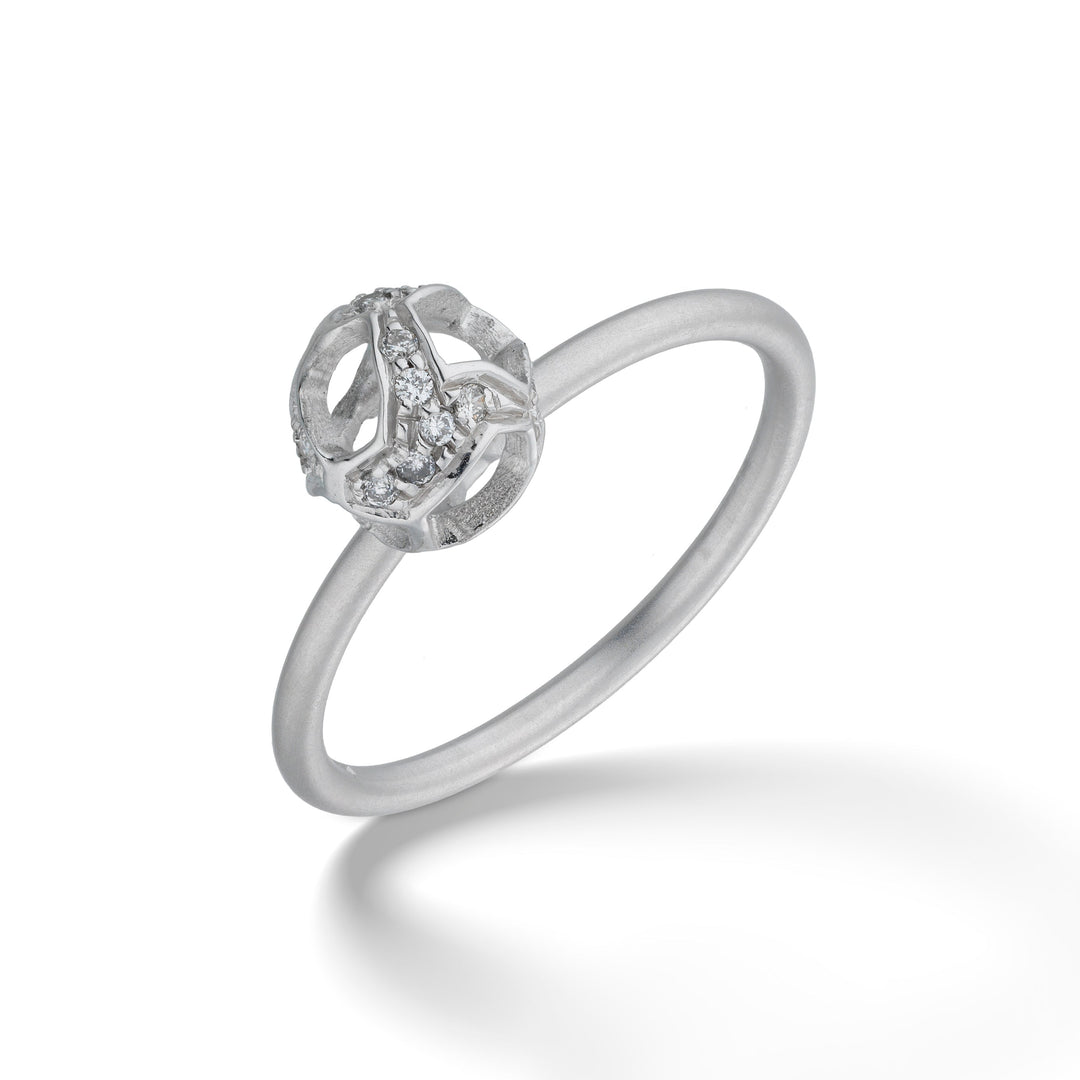 Explosion of Joy Petite Ring with White Diamonds with 18kt White Gold
